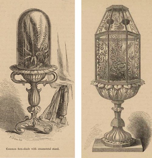 How To Set Up Garden Under Glass How To Set Up Garden Under Glass