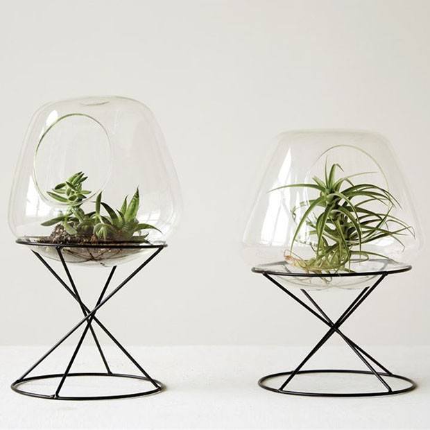 How To Set Up Garden Under Glass How To Set Up Garden Under Glass