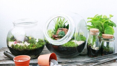 How To Set Up Garden Under Glass