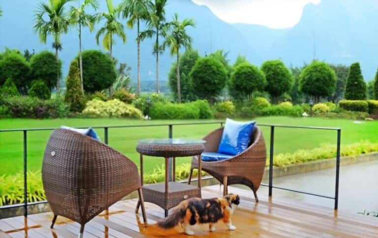 Benefits Of Outdoor Furniture Benefits Of Outdoor Furniture