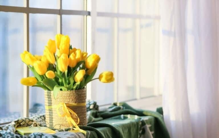 How To Grow Flowers Indoors How To Grow Flowers Indoors