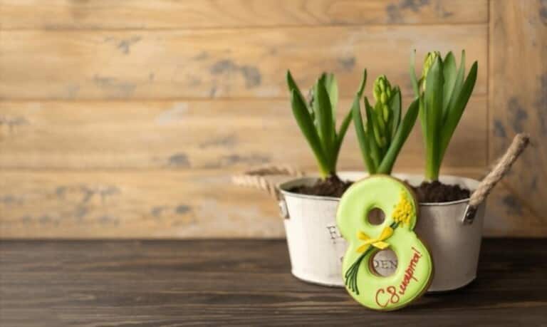 How To Grow Flowers In Pots How To Grow Flowers In Pots