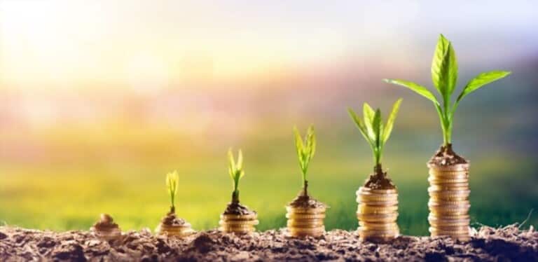 How To Grow Flowers At Home Without Seeds How To Grow Flowers At Home Without Seeds