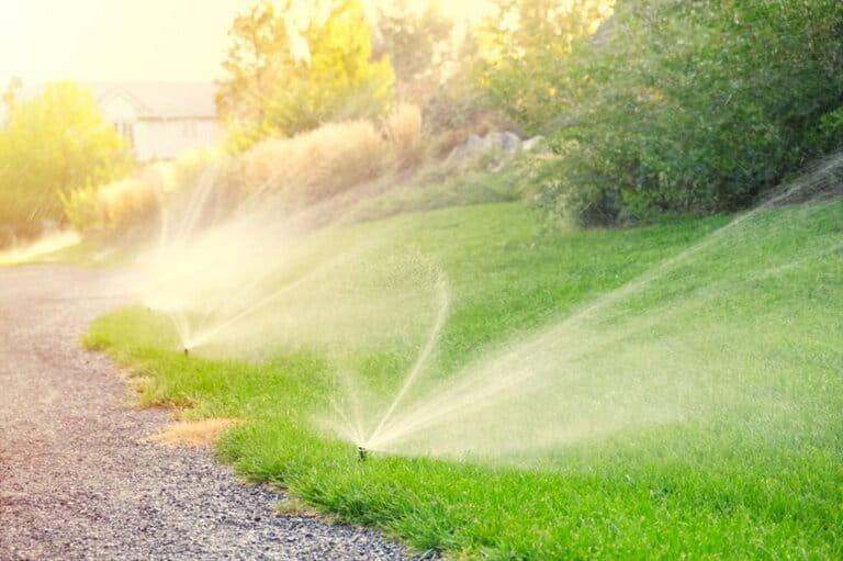 5 Benefits Of Installing Automated Lawn Sprinklers 5 Benefits Of Installing Automated Lawn Sprinklers