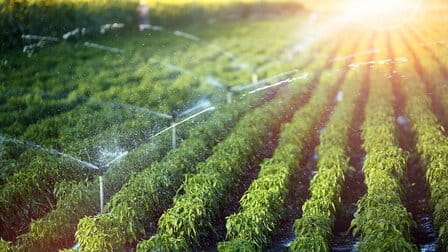 Benefits Of Sprinkler System Benefits Of Sprinkler System