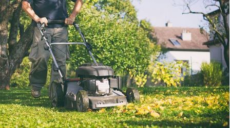 Best Lawn Mower for Mulching Leaves of 2025: Top 6 Picks