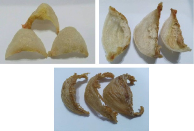 How To Choose Bird Nest How To Choose Bird Nest