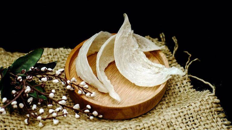 How To Choose Bird Nest