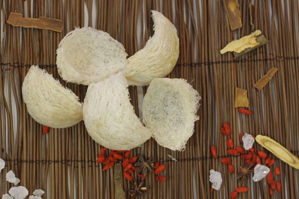 How To Choose Bird Nest