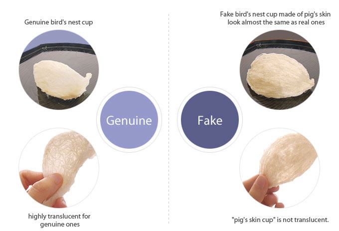 How To Choose Bird Nest How To Choose Bird Nest