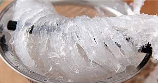 How To Choose Bird Nest