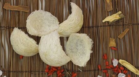 How To Choose Bird Nest How To Choose Bird Nest