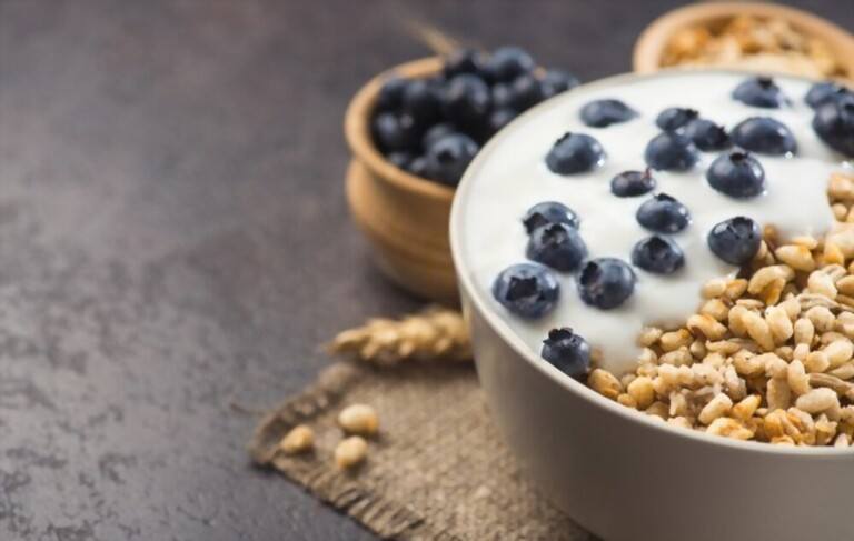 Benefits of Yogurt Makers Benefits of Yogurt Makers