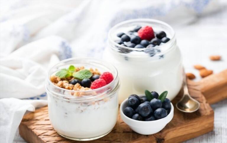 Benefits of Yogurt Makers Benefits of Yogurt Makers