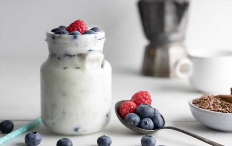 Benefits of Yogurt Makers Benefits of Yogurt Makers