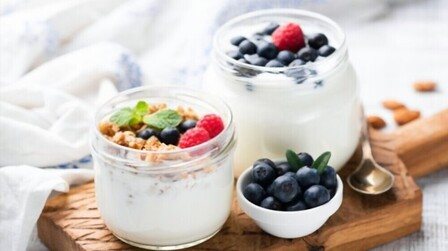 Benefits of Yogurt Makers