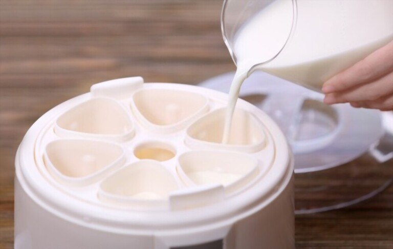 How to Choose Yogurt Maker How to Choose Yogurt Maker