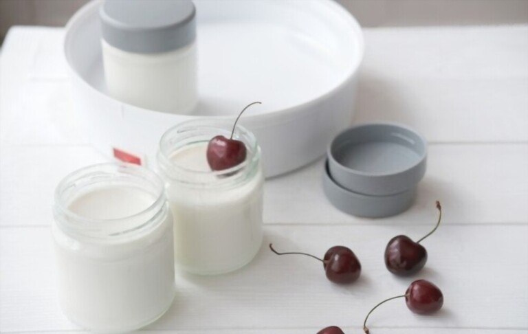 How to Choose Yogurt Maker How to Choose Yogurt Maker