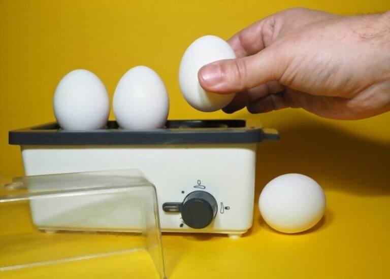 Benefits of Egg Cooker Benefits of Egg Cooker