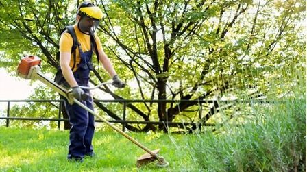 6 Best Lightweight Weed Eaters of 2025