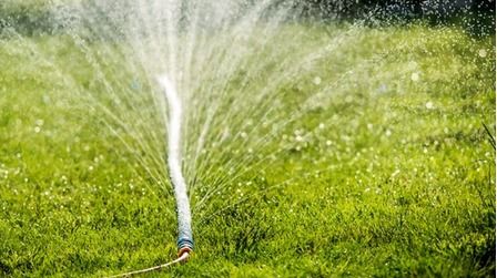 5 Best Sprinkler Hoses of 2025
