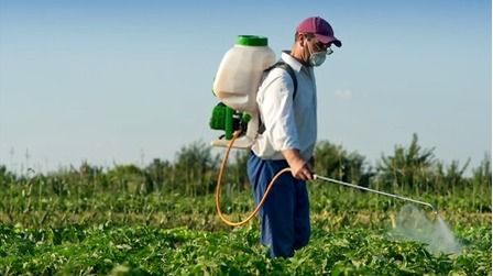 7 Best Battery Powered Backpack Sprayers of 2025