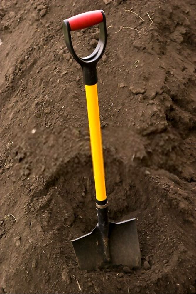 12 Essential Gardening Tools For Every Gardener