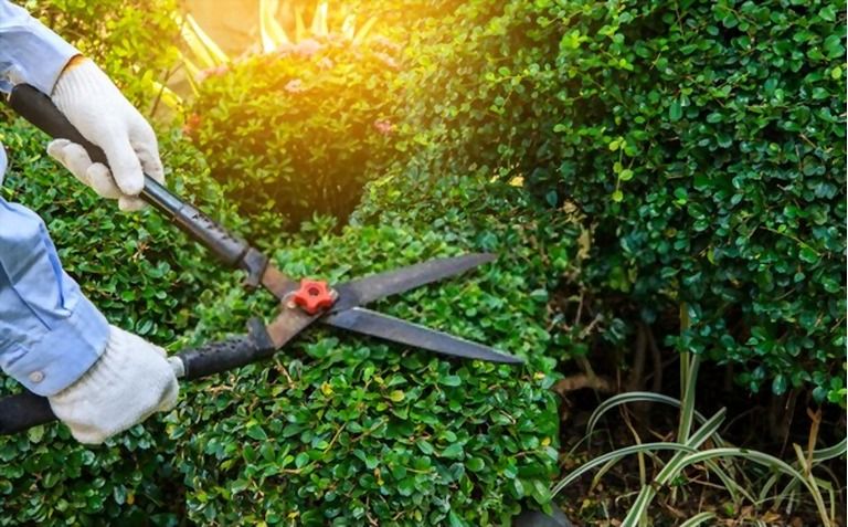 12 Essential Gardening Tools For Every Gardener 12 Essential Gardening Tools For Every Gardener