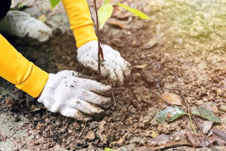 12 Essential Gardening Tools For Every Gardener 12 Essential Gardening Tools For Every Gardener