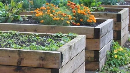 How To Build Raised Garden Beds