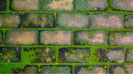 How To Remove Moss From Concrete?