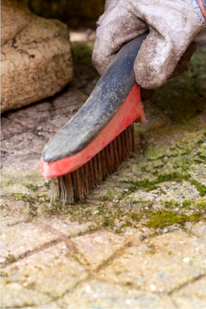 How To Remove Moss From Concrete? How To Remove Moss From Concrete?