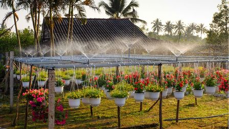 How to design a sprinkler system?