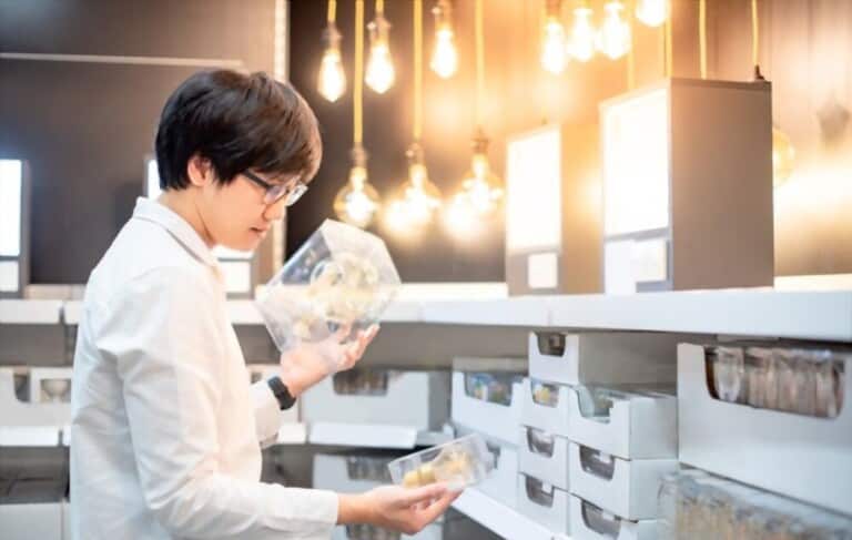 How To Choose Light Bulbs How To Choose Light Bulbs