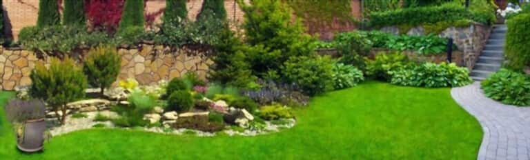 How To Grow Grass Fast And Cheap How To Grow Grass Fast And Cheap