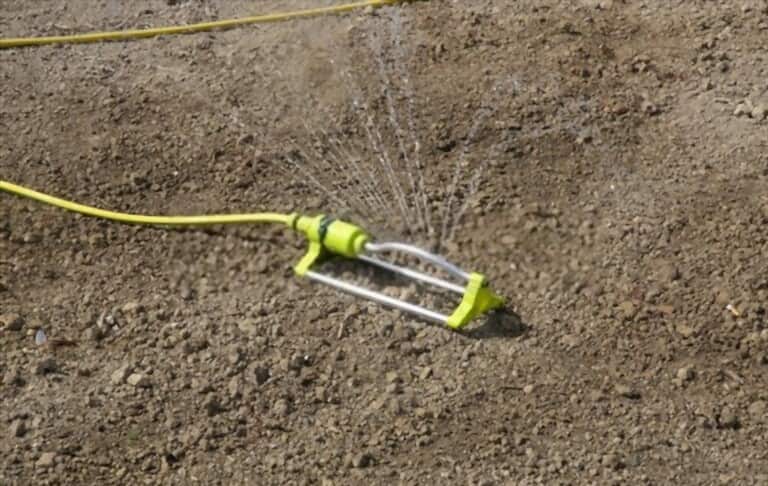 How To Grow Grass Fast And Cheap How To Grow Grass Fast And Cheap