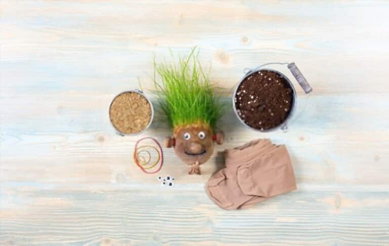 How To Grow Grass At Home How To Grow Grass At Home