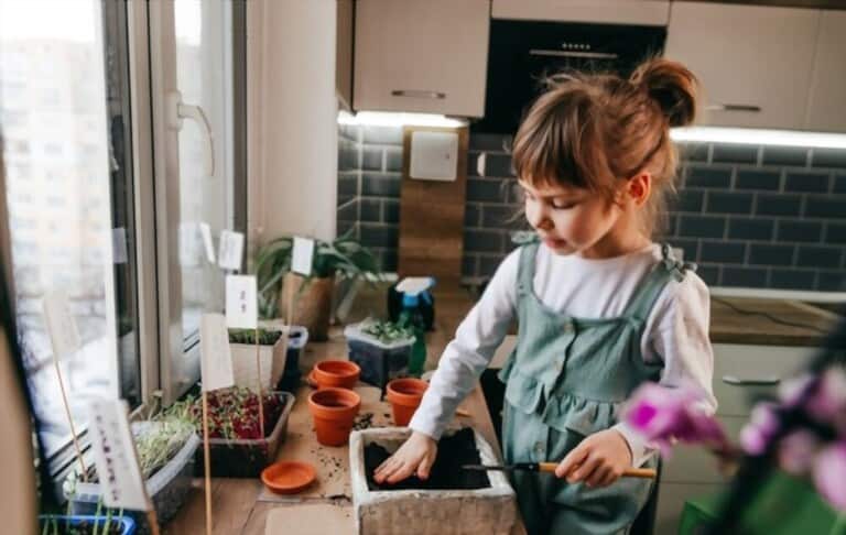 How To Grow Grass At Home How To Grow Grass At Home