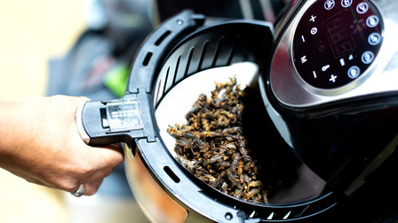 6 Best Affordable Air Fryers of 2025