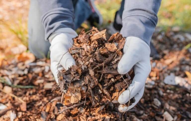 Benefits Of A Garden Shredder Benefits Of A Garden Shredder