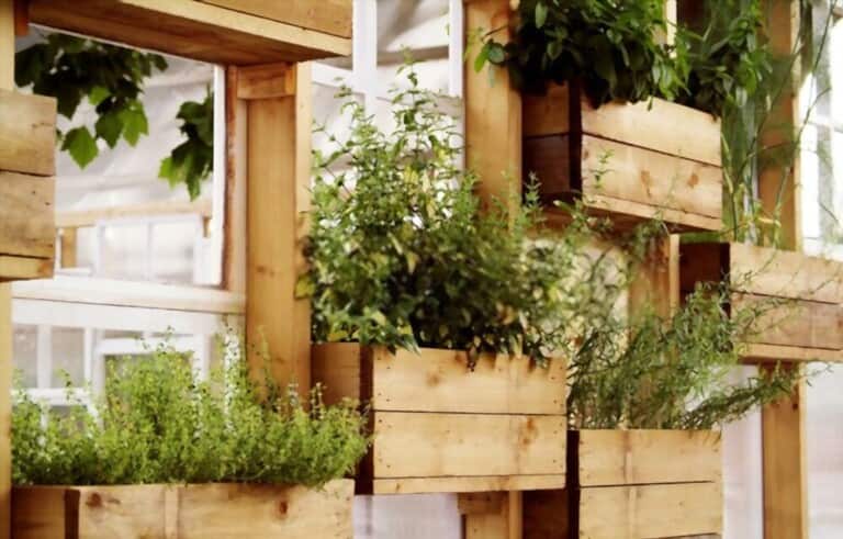 Different Types Of Gardening Methods Different Types Of Gardening Methods