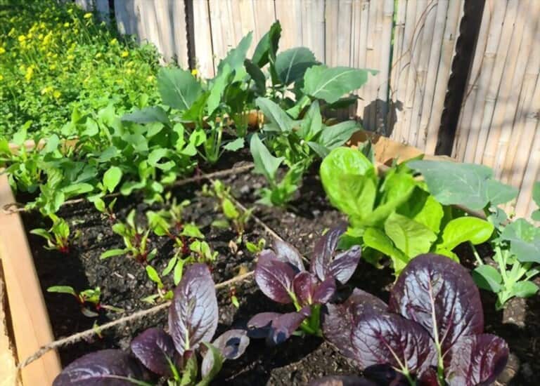 Different Types Of Gardening Methods Different Types Of Gardening Methods