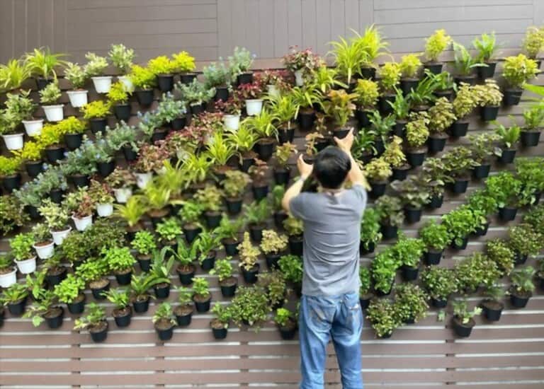 Different Types Of Gardening Methods Different Types Of Gardening Methods