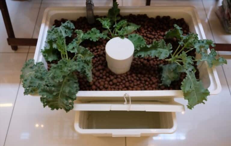 Different Types Of Gardening Methods Different Types Of Gardening Methods