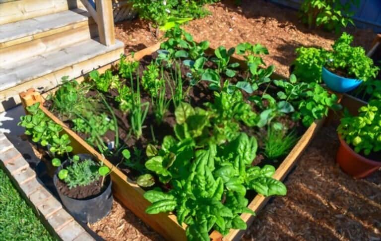 Different Types Of Gardening Methods Different Types Of Gardening Methods