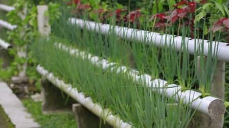 Different Types Of Gardening Methods Different Types Of Gardening Methods