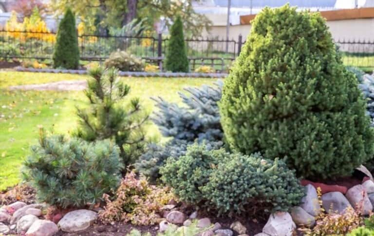 Different Types Of Gardening Different Types Of Gardening