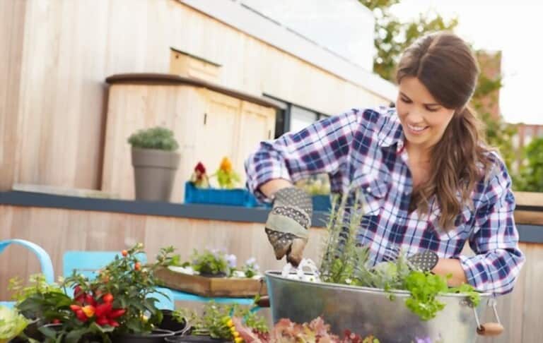 Different Types Of Gardening Different Types Of Gardening