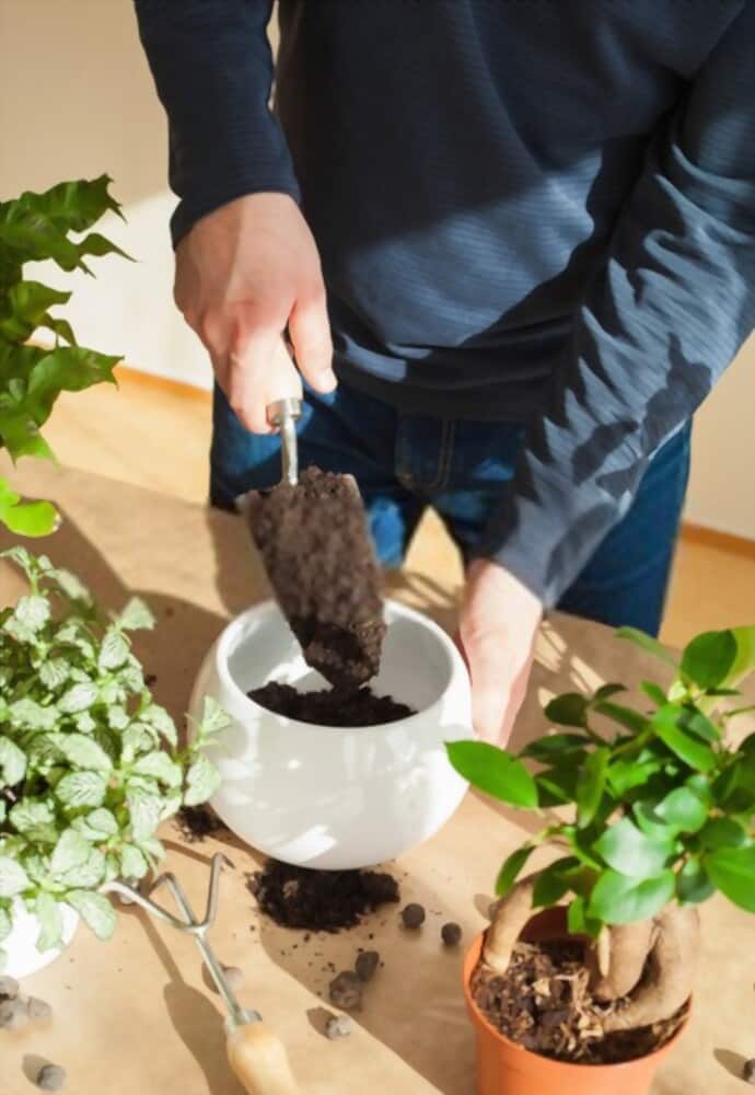 Different Types Of Gardening Tools Different Types Of Gardening Tools