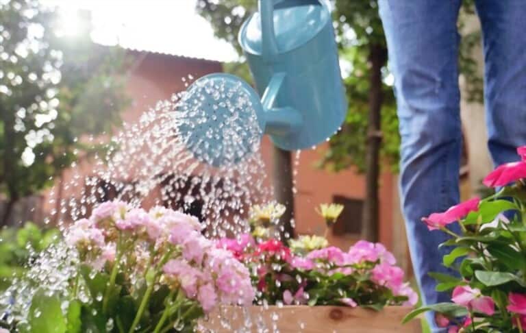 Different Types Of Gardening Tools Different Types Of Gardening Tools